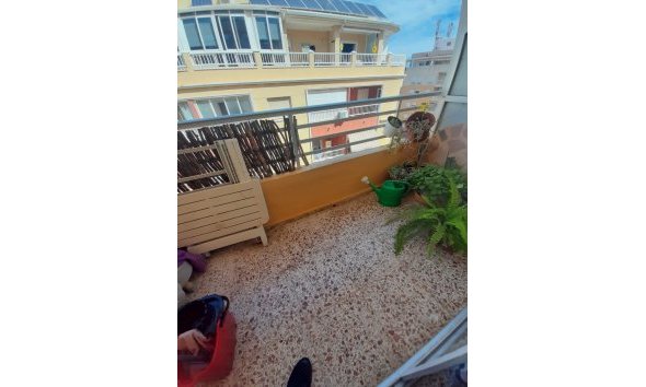 Revente - Apartment -
Torrevieja - Costa Blanca