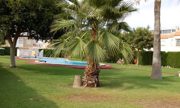 Revente - Town House -
Torrevieja - Costa Blanca