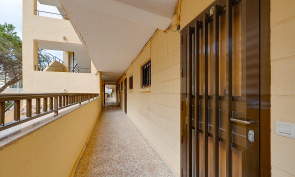 Revente - Apartment -
Torrevieja - Cabo Cervera