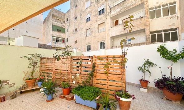 Resale - Apartment -
Torrevieja - Costa Blanca