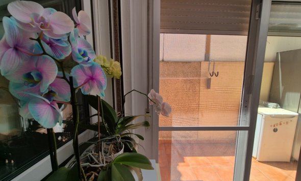 Reventa - Town House -
Torrevieja - Costa Blanca