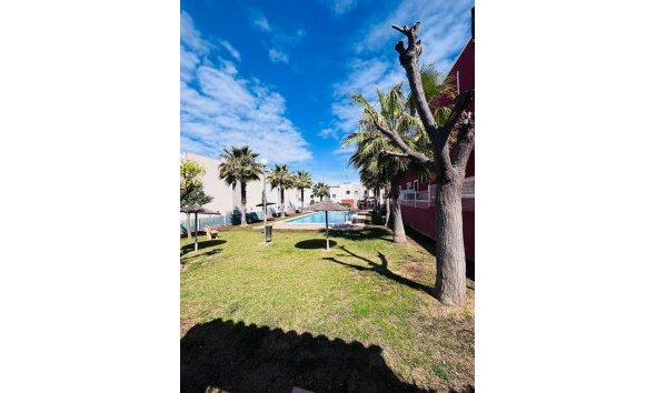 Reventa - Apartment -
Torrevieja - Costa Blanca