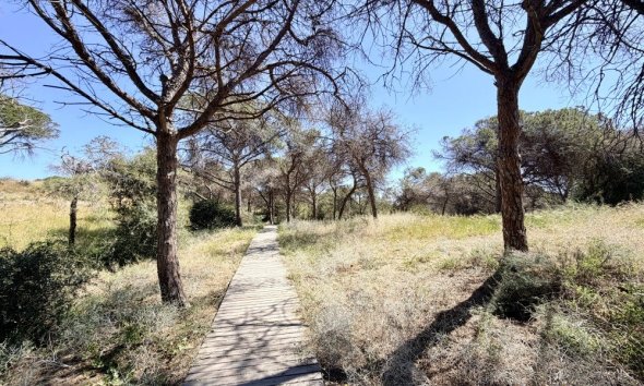 Revente - Apartment -
Guardamar del Segura - Costa Blanca