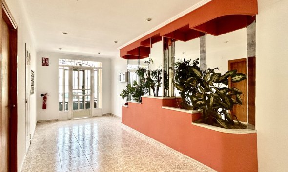 Revente - Apartment -
Torrevieja - Costa Blanca