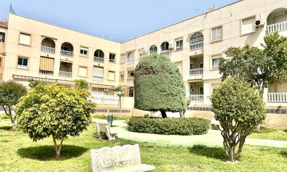 Revente - Apartment -
Torrevieja - Costa Blanca