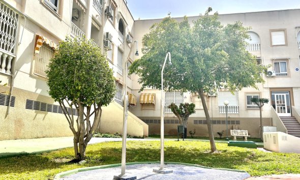 Revente - Apartment -
Torrevieja - Costa Blanca