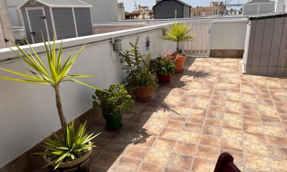 Revente - Apartment -
Dolores - Comunidad Valenciana
