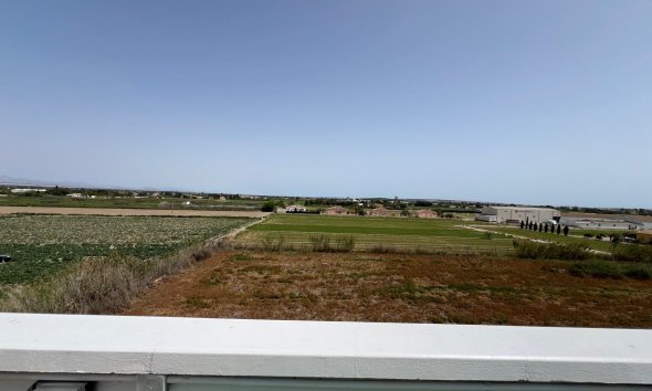 Revente - Apartment -
Dolores - Comunidad Valenciana