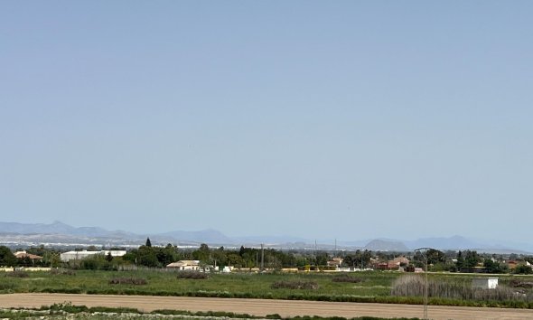 Revente - Apartment -
Dolores - Comunidad Valenciana