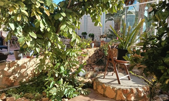 Revente - Apartment -
Los Montesinos - Costa Blanca