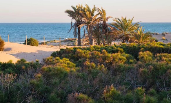 Nouvelle construction - Attique -
Guardamar del Segura - Avda del Puerto