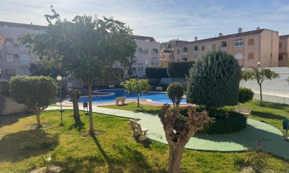 Revente - Apartment -
Torrevieja - Costa Blanca