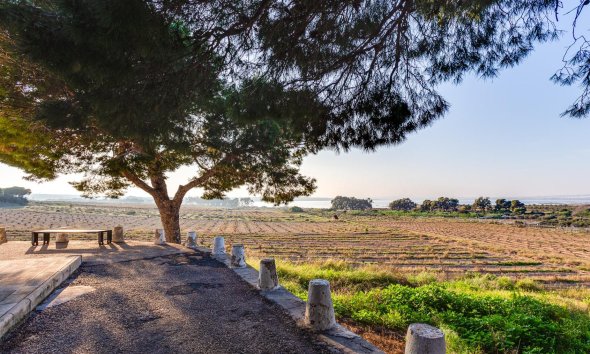 Resale - Bungalow -
Torrevieja - La Siesta - El Salado - Torreta