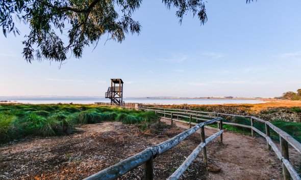 Resale - Bungalow -
Torrevieja - La Siesta - El Salado - Torreta