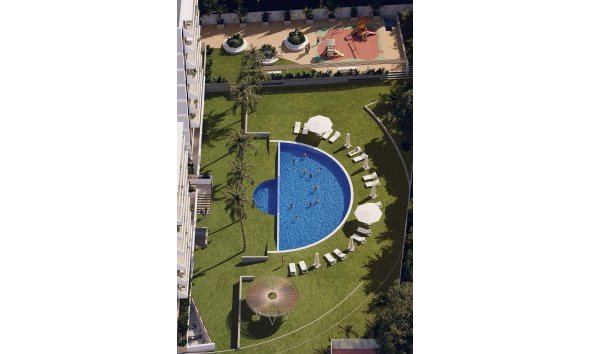Nouvelle construction - Attique -
Guardamar del Segura - Avda del Puerto