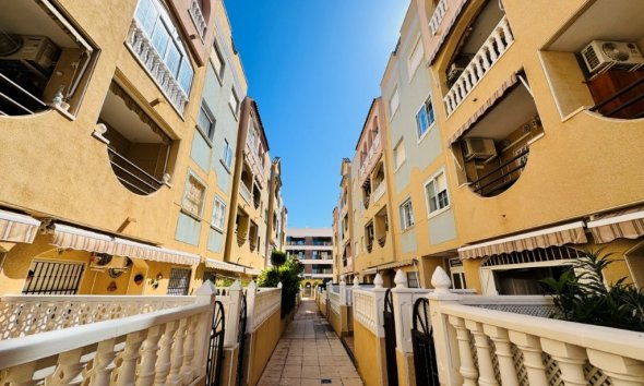 Revente - Apartment -
La Mata - Costa Blanca