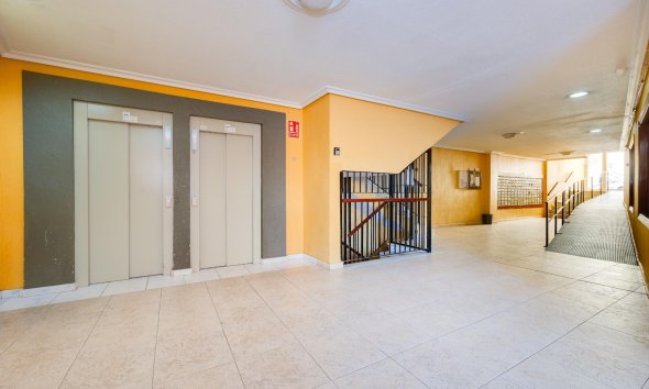 Revente - Apartment -
Torrevieja - Centro