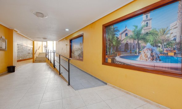 Revente - Apartment -
Torrevieja - Centro