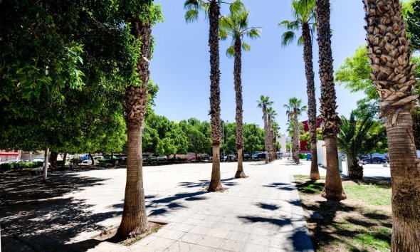 Revente - Apartment -
Torrevieja - Centro