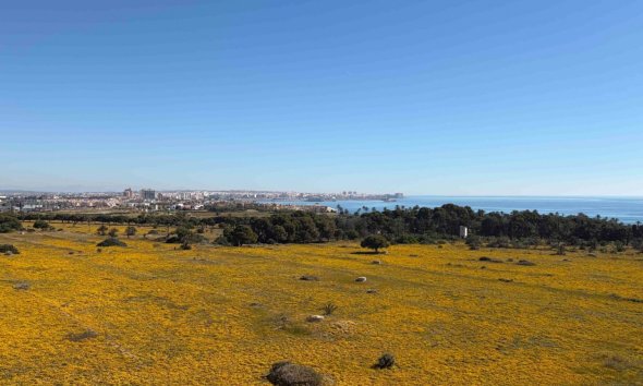 Revente - Apartment -
Orihuela Costa - Costa Blanca