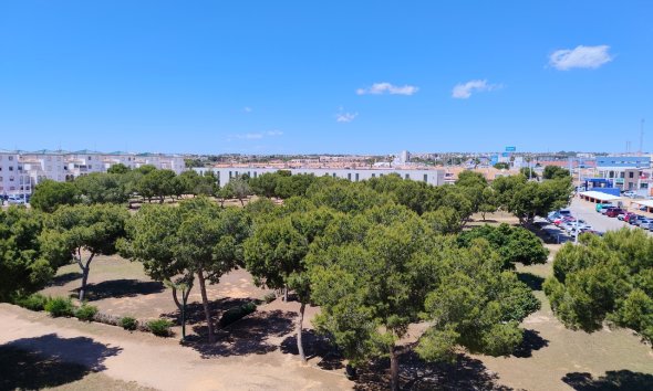 Revente - Apartment -
La Zenia - Costa Blanca