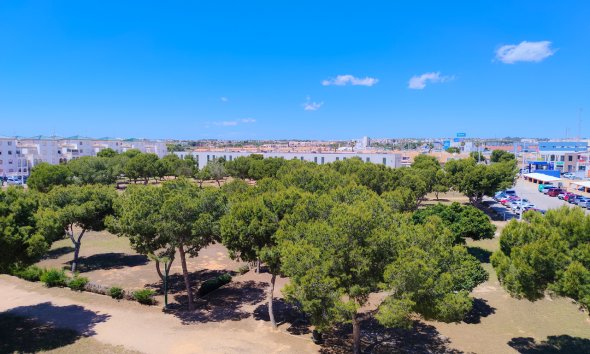 Revente - Apartment -
La Zenia - Costa Blanca
