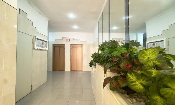 Resale - Apartment -
Torrevieja - Centro