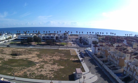 Obra nueva - Bungalow -
Pilar de la Horadada - Playa de las Higuericas