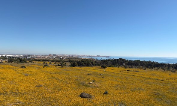 Revente - Attique -
Torrevieja - Punta Prima