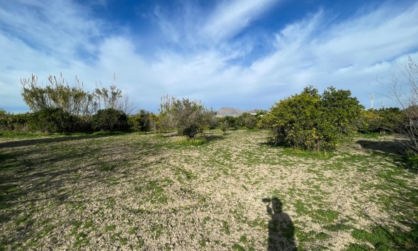 Revente - Villa -
Benejúzar - Inland