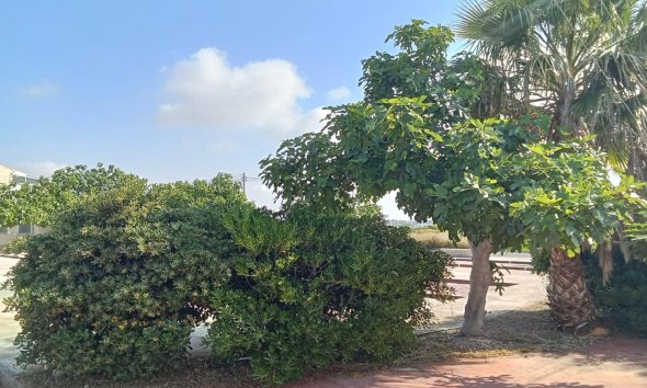 Revente - Bungalow -
Torrevieja - Torretas