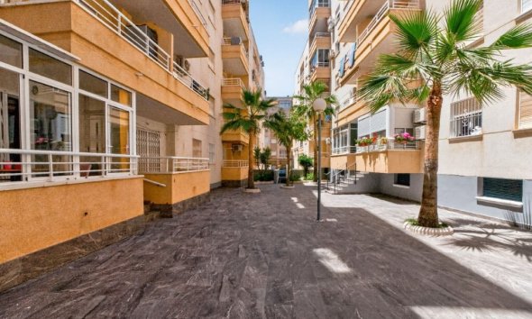 Revente - Apartment -
Torrevieja - Costa Blanca