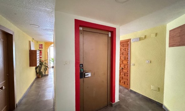 Revente - Apartment -
Torrevieja - Centro