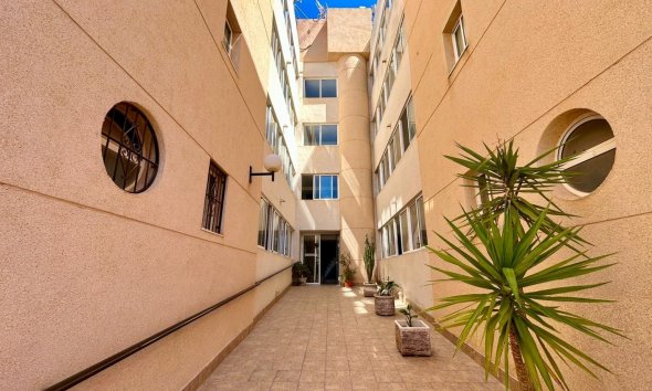 Resale - Apartment -
Torrevieja - Costa Blanca