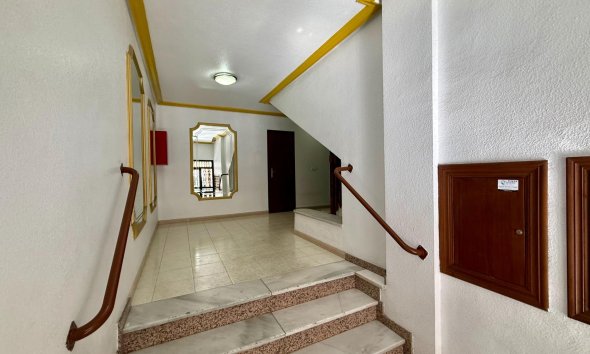 Reventa - Apartment -
Torrevieja - Centro