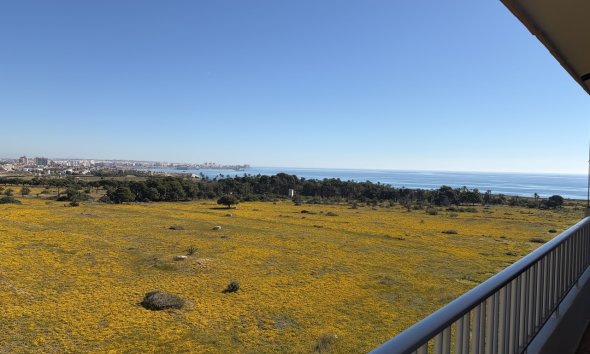 Revente - Attique -
Punta Prima - Costa Blanca