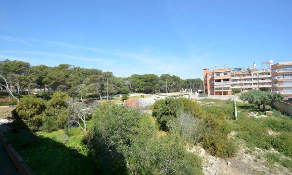 Resale - Apartment -
Guardamar del Segura - Costa Blanca