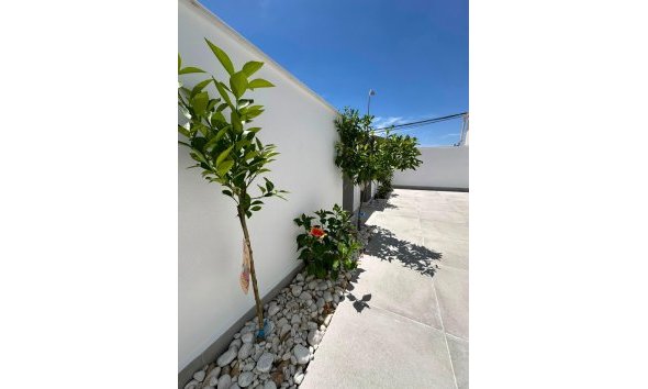 Revente - Bungalow -
Torrevieja - La Siesta - El Salado - Torreta