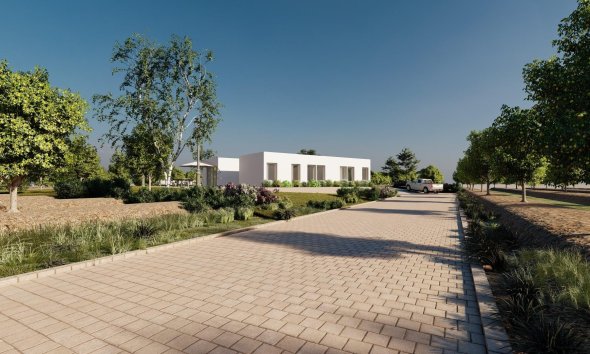 Nouvelle construction - Villa -
Benejúzar - alta