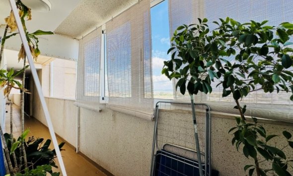 Revente - Apartment -
Torrevieja - Costa Blanca
