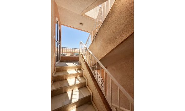 Revente - Bungalow -
Torrevieja - Costa Blanca