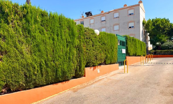 Revente - Bungalow -
Torrevieja - Costa Blanca