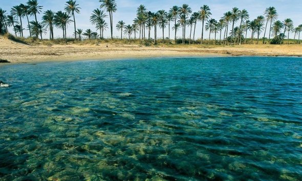 Revente - Bungalow -
Torrevieja - Costa Blanca