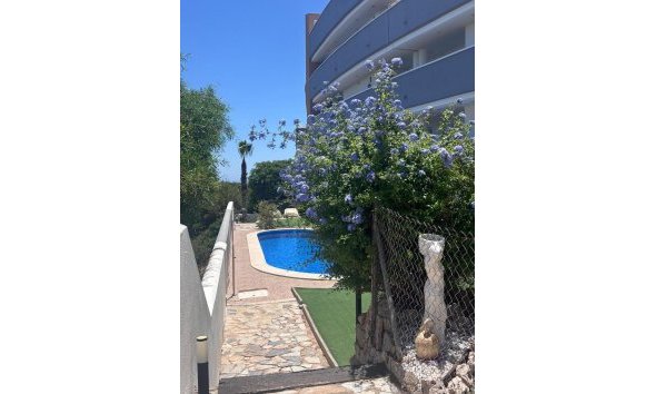 Revente - Apartment -
Villamartin - Costa Blanca
