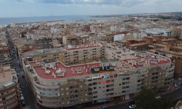 Revente - Apartment -
Torrevieja - Costa Blanca