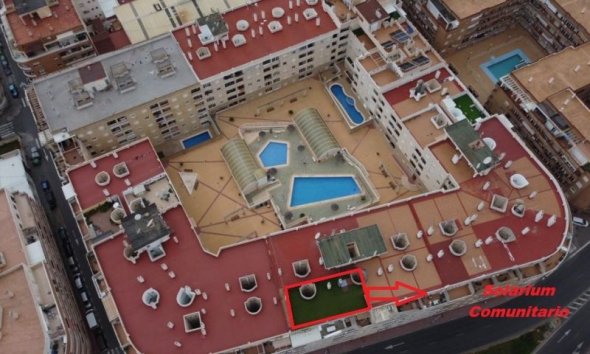 Revente - Apartment -
Torrevieja - Costa Blanca