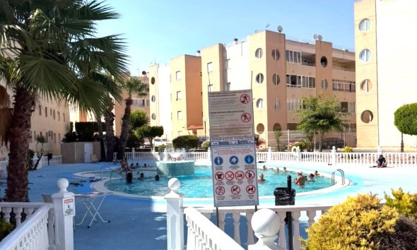 Revente - Apartment -
Torrevieja - Costa Blanca