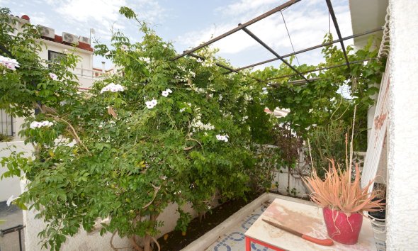 Revente - Town House -
Torrevieja - Costa Blanca