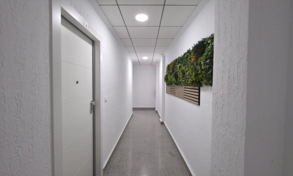 Reventa - Apartment -
Torrevieja