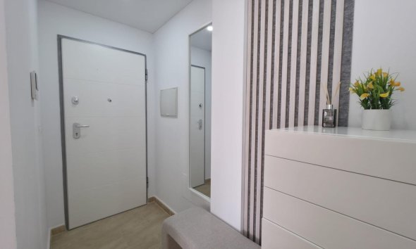 Reventa - Apartment -
Torrevieja